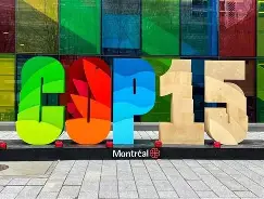 威尼斯人娱乐城 -局域网电影服务器系统